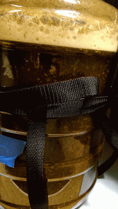 Burton Ale fermentation animation