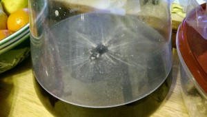 sour culture starter pellicle