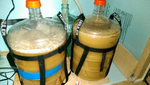 lambic beers side by side