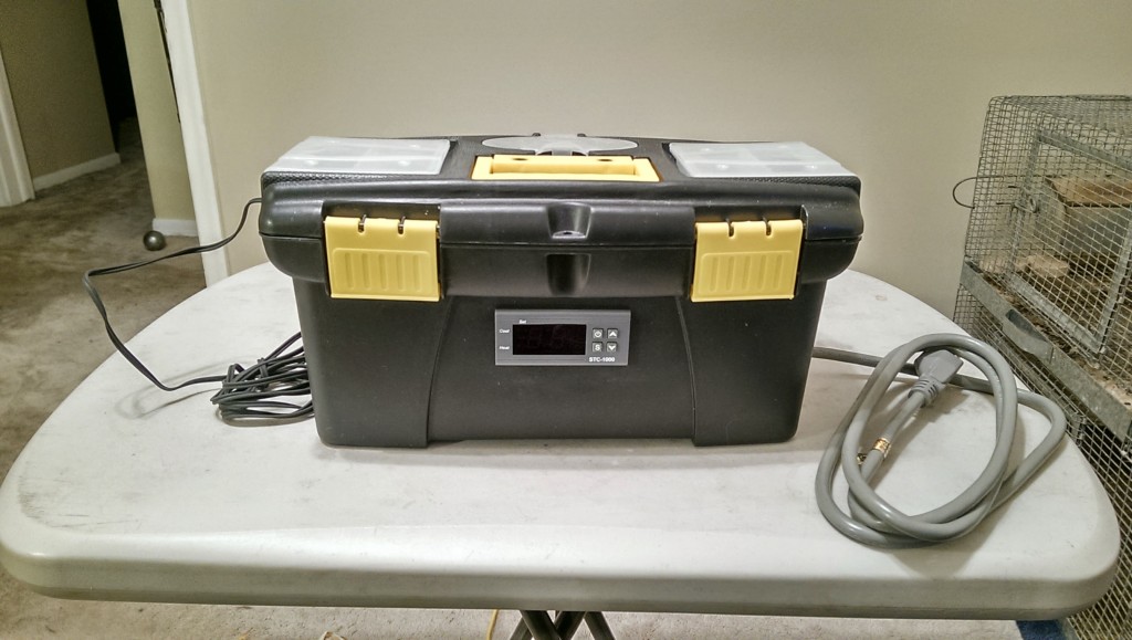 dual stage temperature controller front view