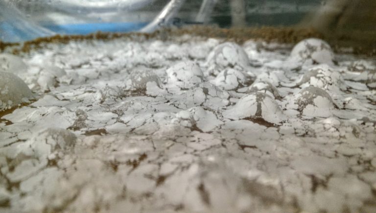 BaltiFunk Mega Blend in West Country White Ale