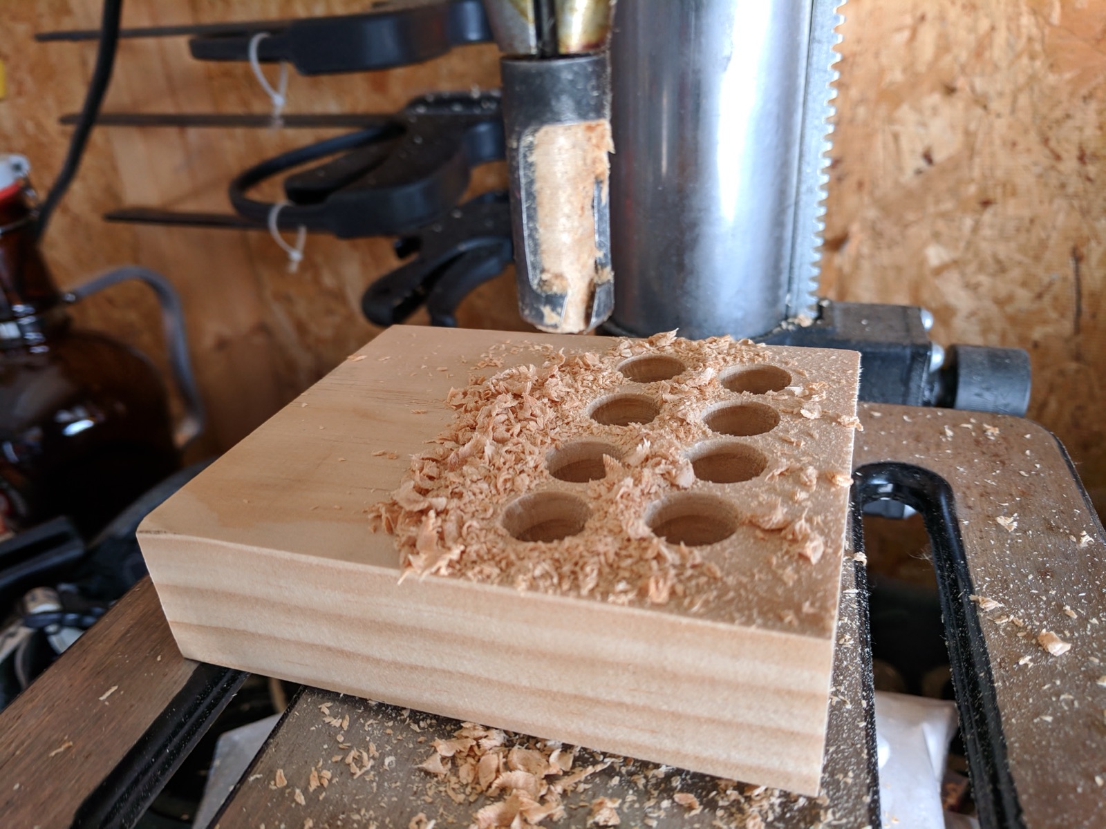 Cutting plugs from a scrap of pine board